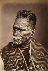 Portrait of a Maori with a tattooed face, c.1886-88